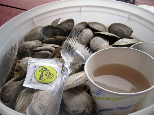Steamers